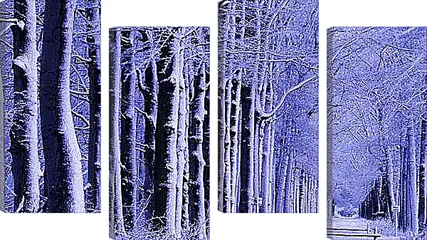 Модульная картина - Зима