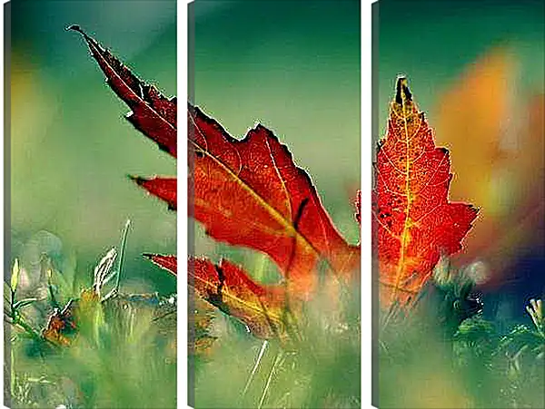Модульная картина - Осенний кленовый лист