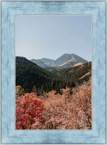 Картина в раме - Разнообразный лес и горы