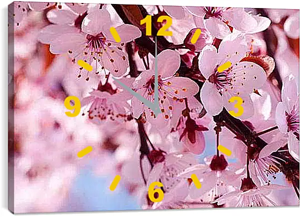 Часы картина - Вишня весной