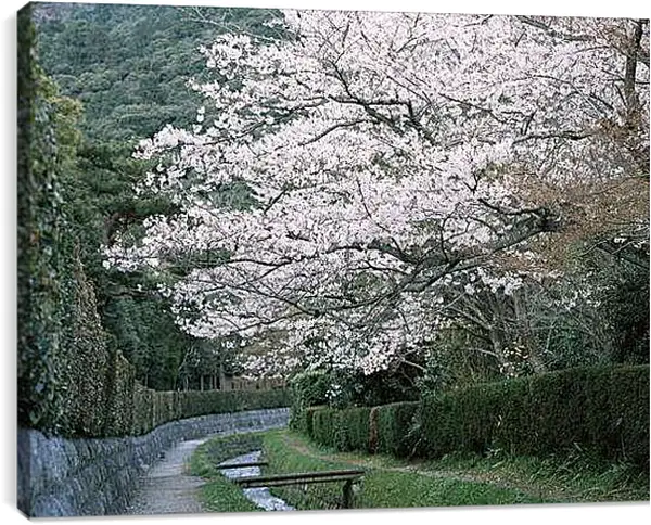Постер на подрамнике - Весна