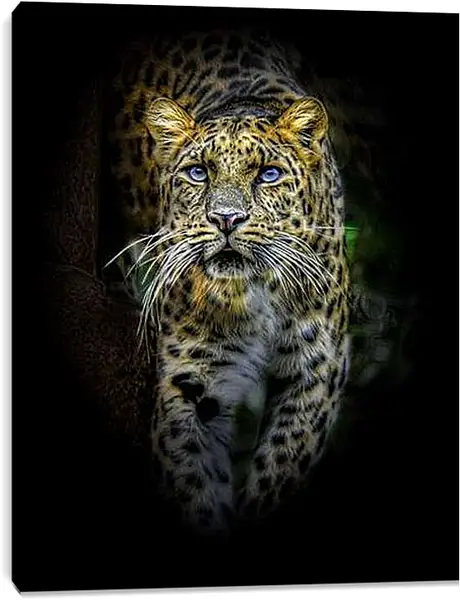 Постер на подрамнике - леопард