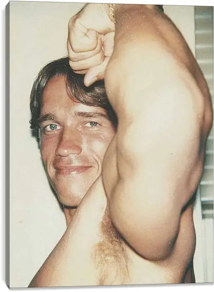 Постер на подрамнике - Арнольд Шварценеггер (Arnold Schwarzenegger)