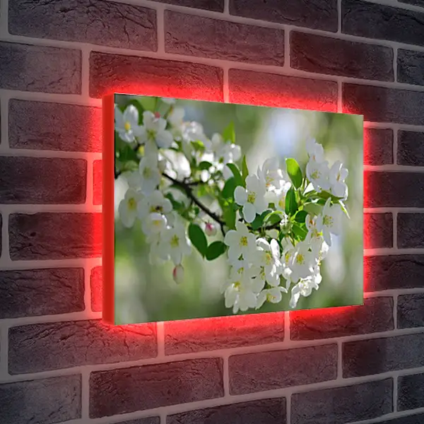 Лайтбокс световая панель - Весна