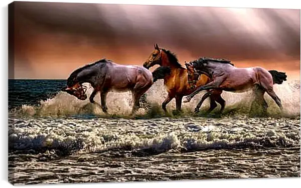 Постер на подрамнике - Купание лошадей
