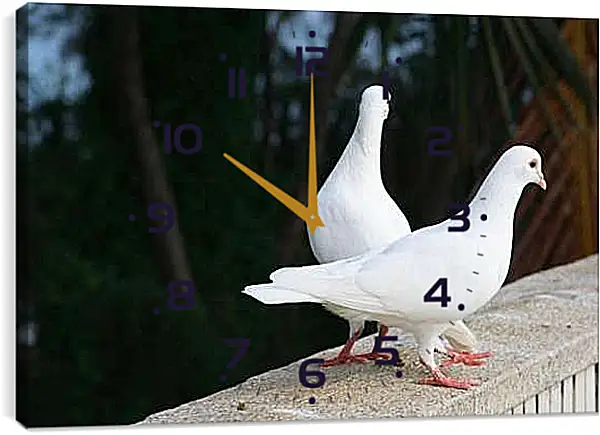 Часы картина - Голуби