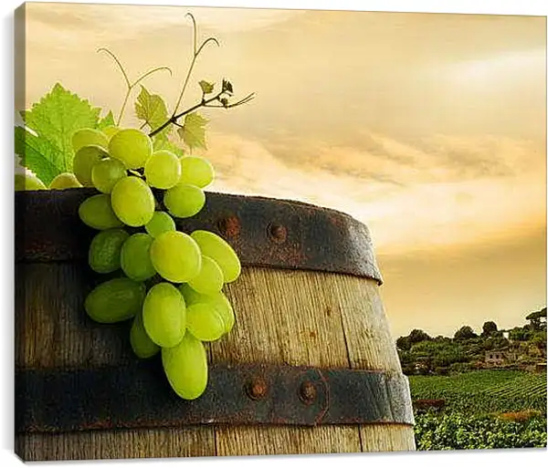 Постер на подрамнике - Бочка с виноградом. Винный урожай.