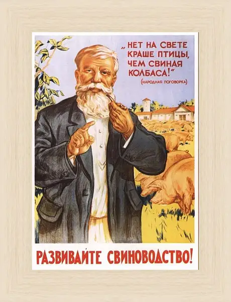 Картина в раме - Развивайте свиноводство!