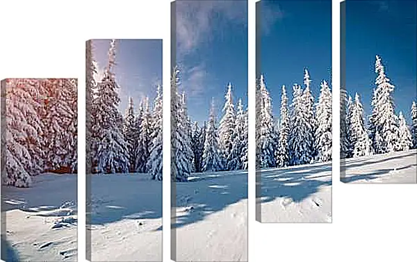 Модульная картина - Хвойный лес в снегу