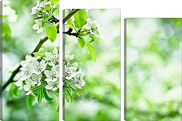 Модульная картина - Деревья в цвету