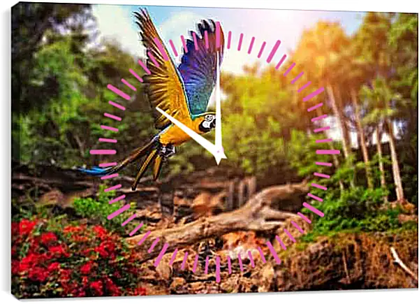 Часы картина - Попугай в полёте
