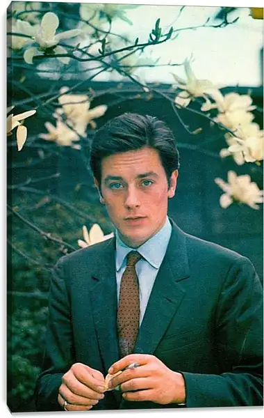 Постер на подрамнике - Ален Делон. Alain Delon
