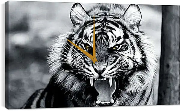 Часы картина - Белый тигр. Животные. Большая кошка