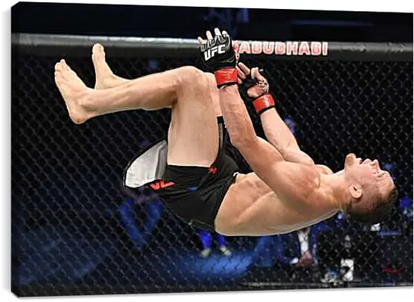 Постер на подрамнике - UFC. MMA. Пётр Ян