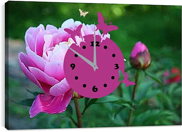 Часы картина - розовые пионы