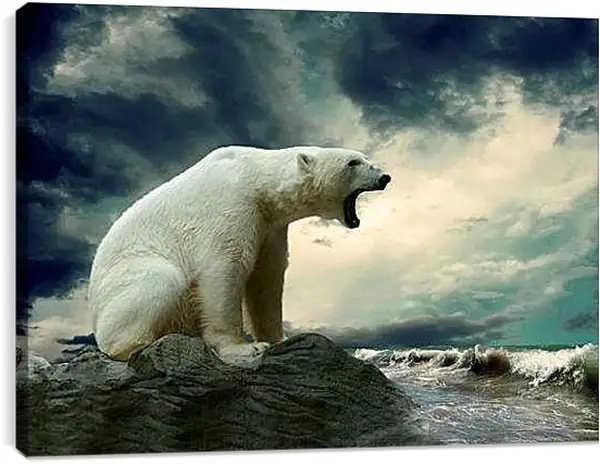 Постер на подрамнике - Белый медведь