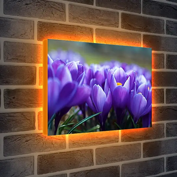 Лайтбокс световая панель - Весна