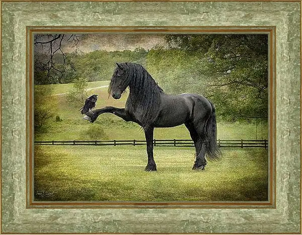 Картина в раме - Вороной конь и ворон