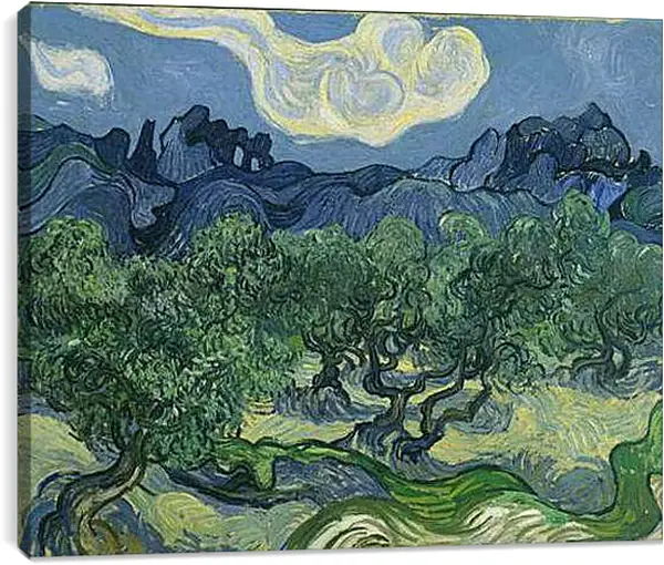 Постер на подрамнике - The Olive Trees. Винсент Ван Гог