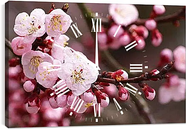 Часы картина - Ветка Яблони