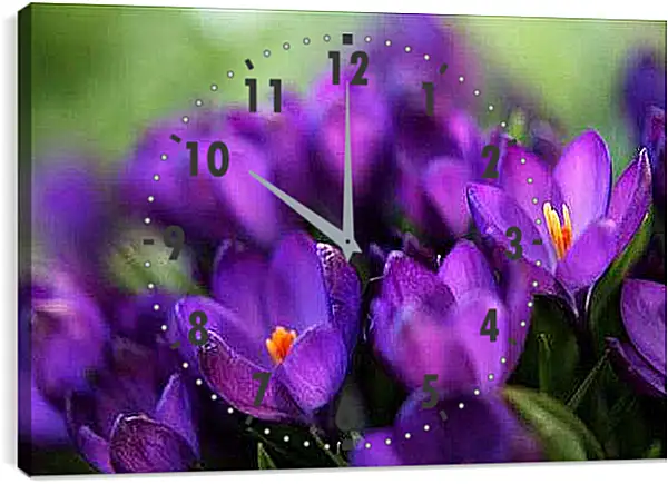 Часы картина - Крокусы