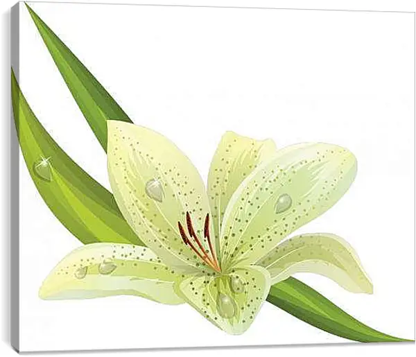 Постер на подрамнике - Белый цветок