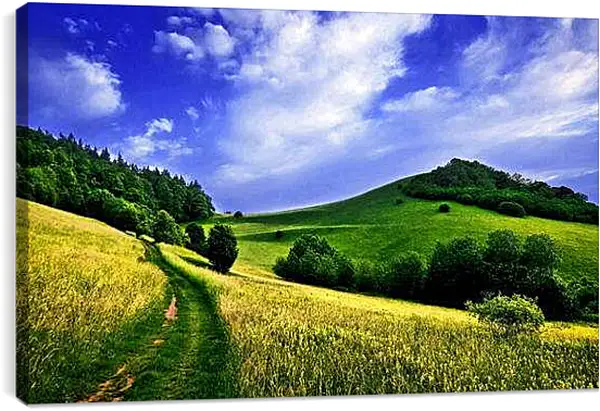 Постер на подрамнике - Дорога в поле