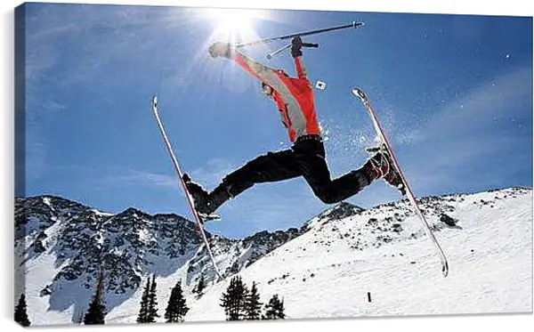 Постер на подрамнике - Шпагат в воздухе