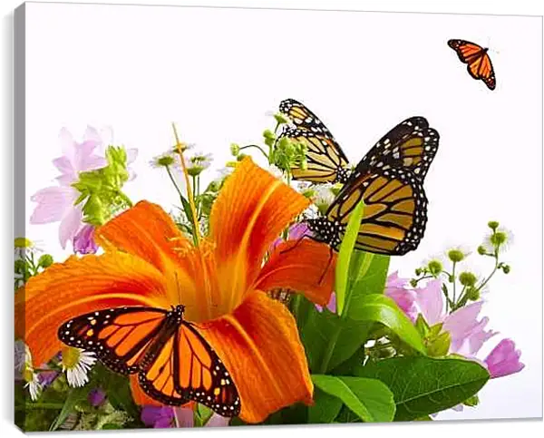 Постер на подрамнике - Бабочки на цветке