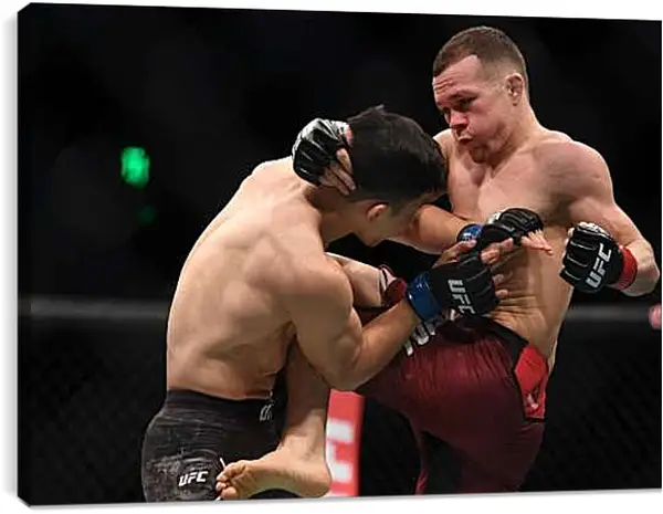 Постер на подрамнике - UFC. MMA. Пётр Ян