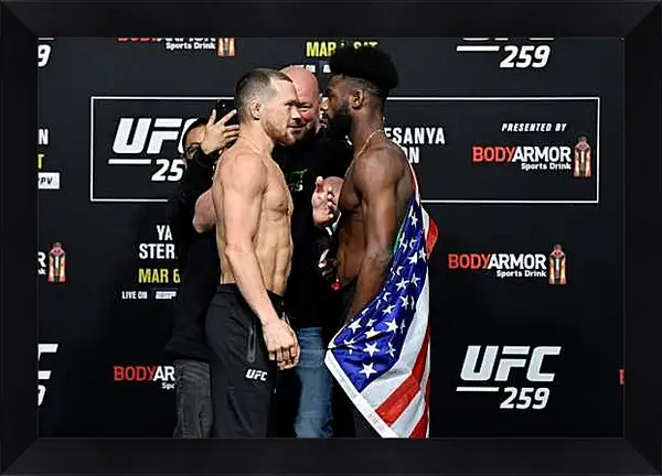 Картина в раме - UFC. MMA. Пётр Ян