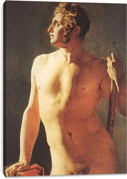 Постер на подрамнике - Male Torso. Жан Огюст Доминик Энгр