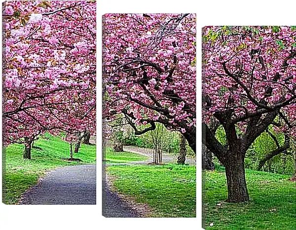 Модульная картина - Розовые деревья в парке