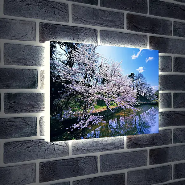 Лайтбокс световая панель - Весна