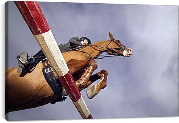 Постер на подрамнике - Прыжок через препятствие