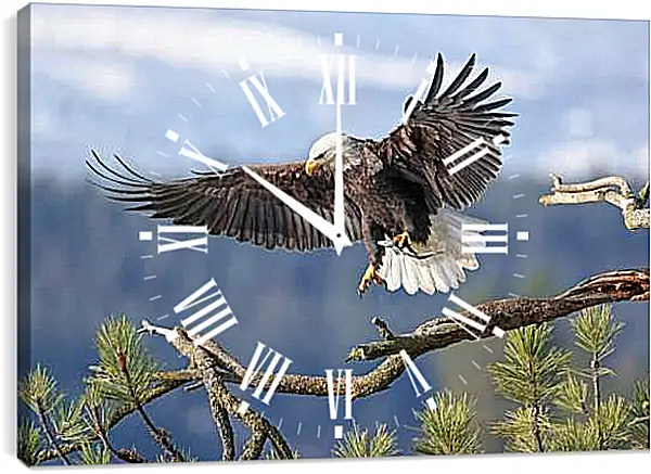 Часы картина - Орёл садится на ветку