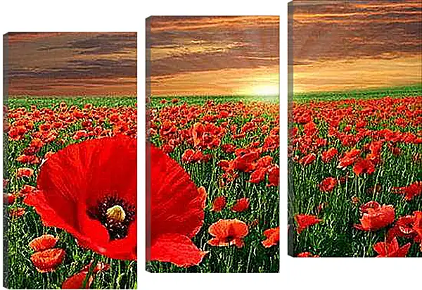 Модульная картина - маки