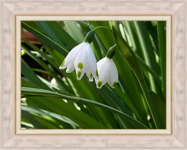 Картина в раме - Весна