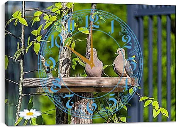 Часы картина - Голуби