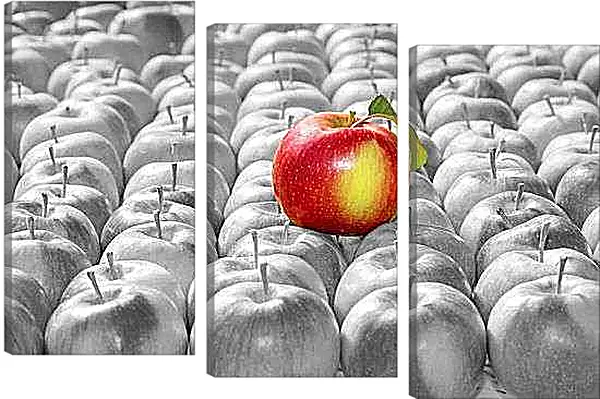 Модульная картина - Яблоко