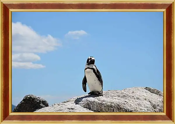 Картина в раме - Пингвин на камне