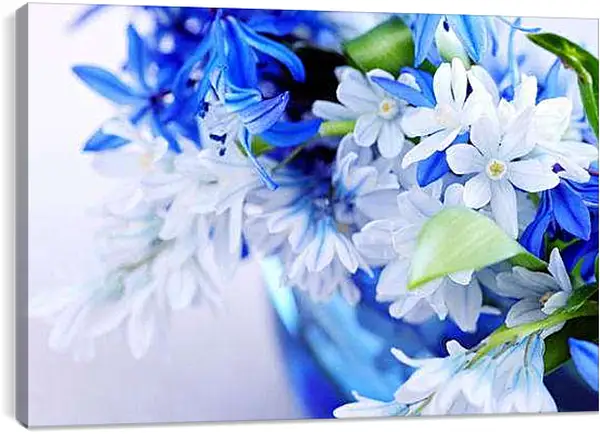 Постер на подрамнике - Весенний цвет