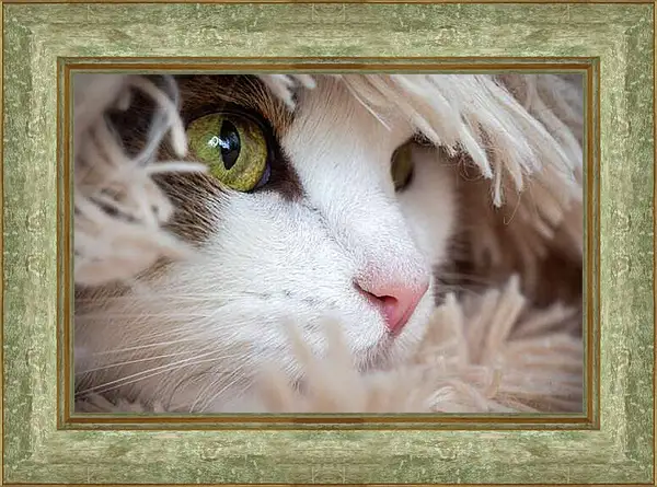 Картина в раме - Портрет кошки