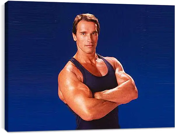 Постер на подрамнике - Арнольд Шварценеггер (Arnold Schwarzenegger)