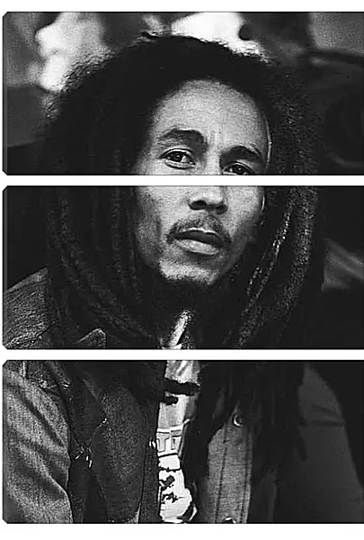 Модульная картина - Боб Марли. Bob Marley