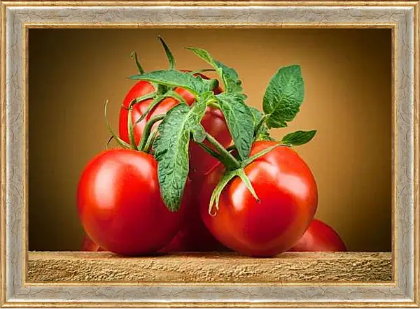Картина в раме - Спелые помидоры. Сочные Томаты.