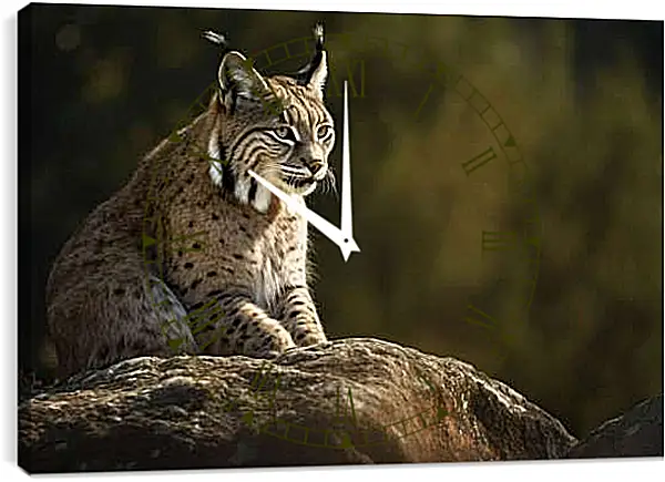 Часы картина - Рысь