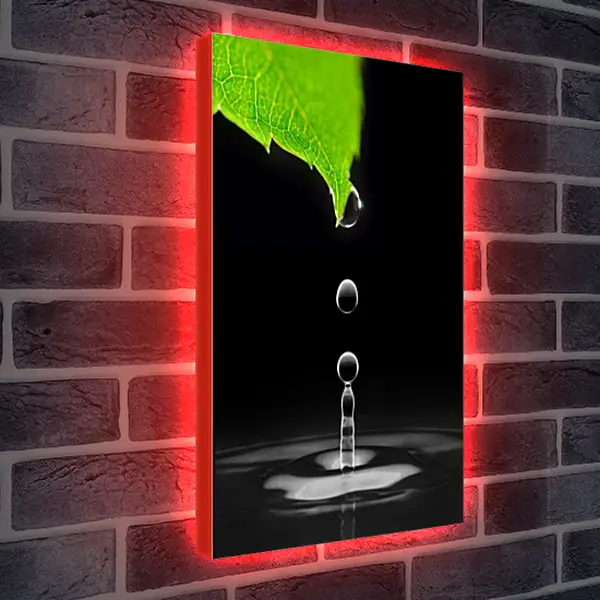 Лайтбокс световая панель - Капли