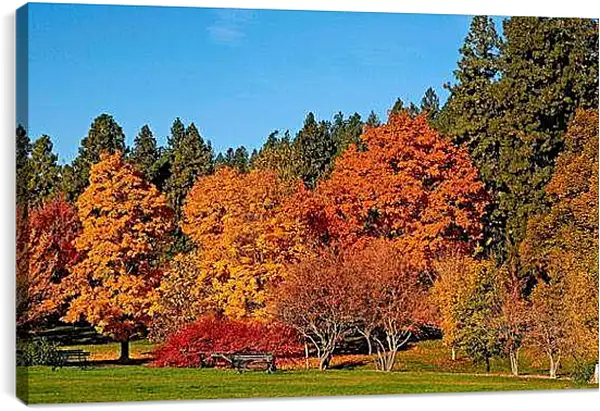 Постер на подрамнике - Осень