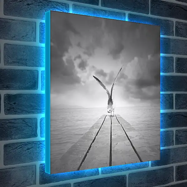 Лайтбокс световая панель - Чайка